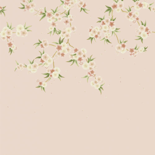 Rosa 112887